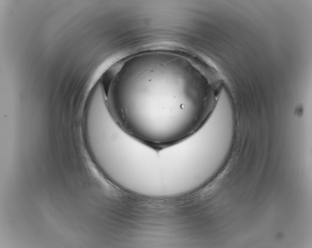 X0000090501418200707272352