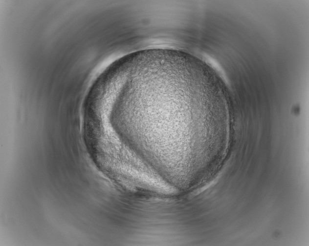 X0000090501419200707272352