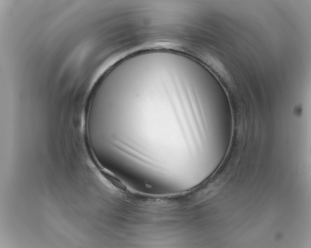 X0000090501420200707272352