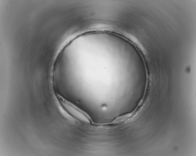 X0000090501421200707272352