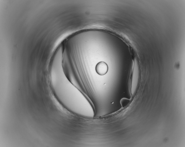 X0000090501422200707272352