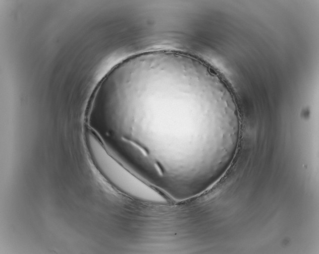 X0000090501423200707272352