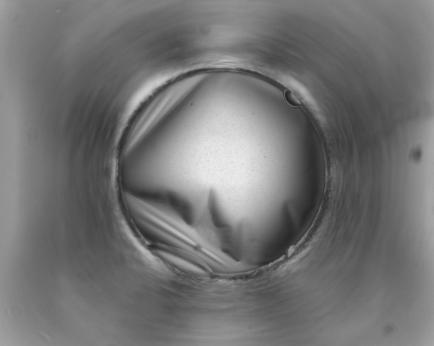 X0000090501424200707272352