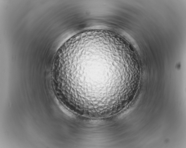 X0000090501425200707272352