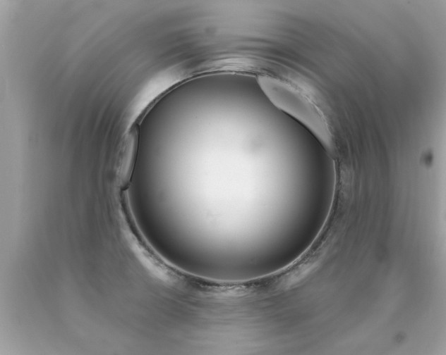 X0000090501426200707272352