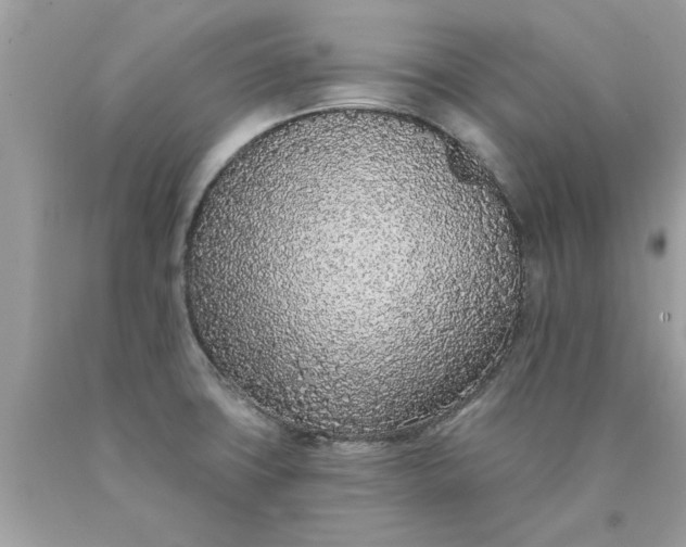 X0000090501427200707272352