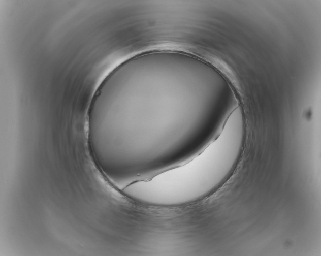 X0000090501428200707272352