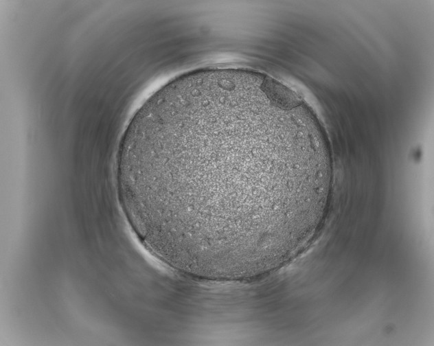 X0000090501429200707272352