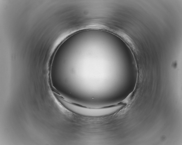 X0000090501430200707272352