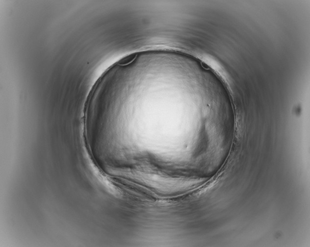 X0000090501431200707272352