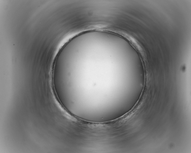 X0000090501432200707272352