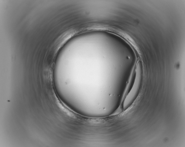 X0000090501433200707272352