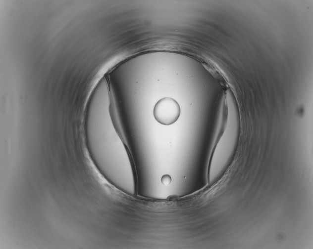 X0000090501434200707272352