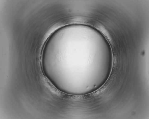 X0000090501435200707272352