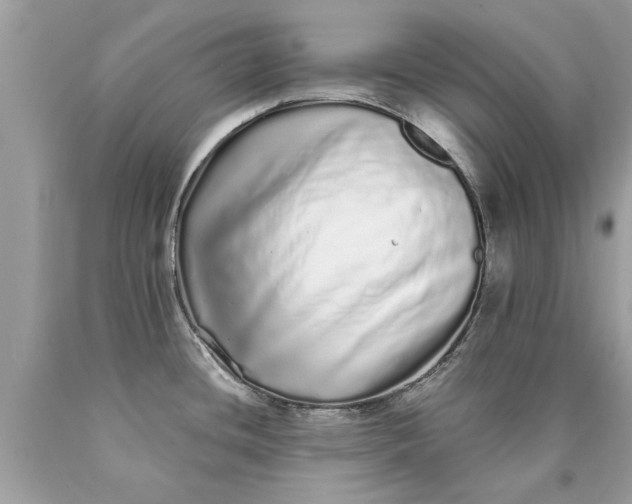 X0000090501436200707272352