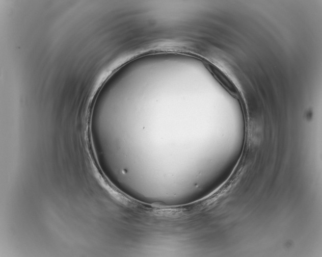 X0000090501437200707272352