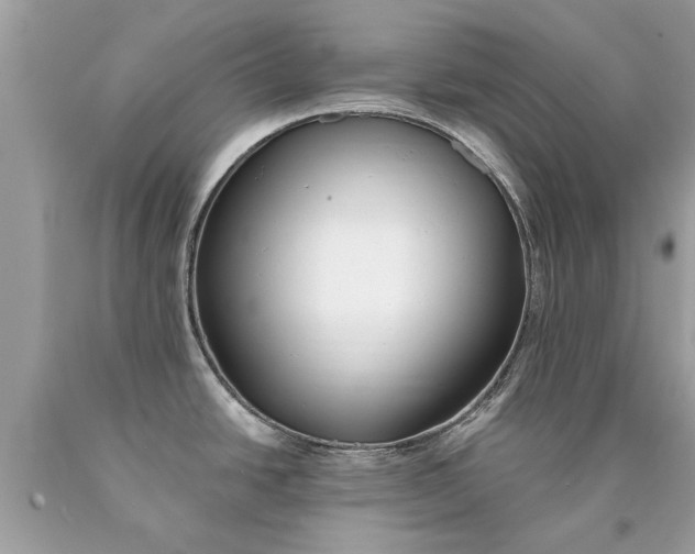 X0000090501438200707272352