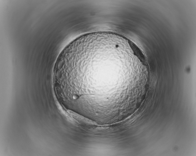 X0000090501439200707272352