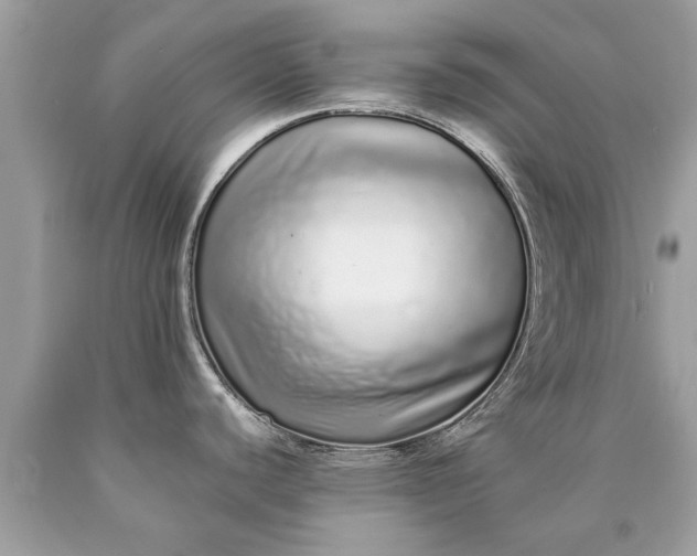 X0000090501440200707272352