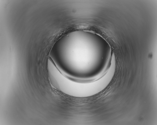 X0000090501441200707272352