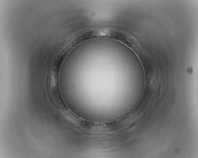 X0000090501442200707272352