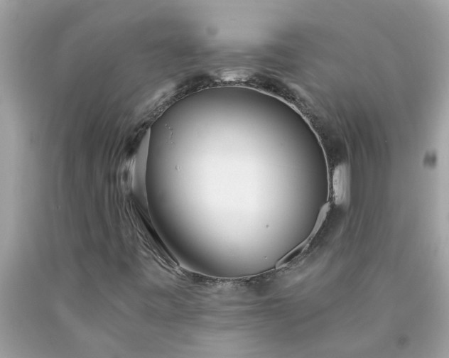 X0000090501443200707272351