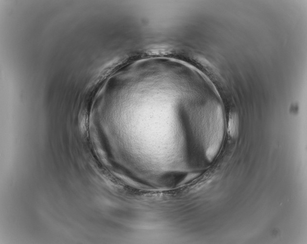 X0000090501444200707272351