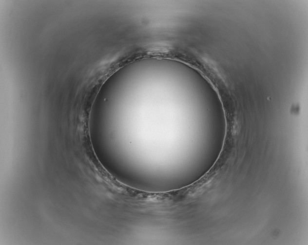 X0000090501445200707272351