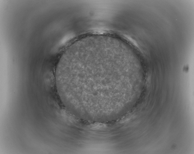 X0000090501446200707272351