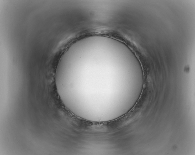 X0000090501447200707272351