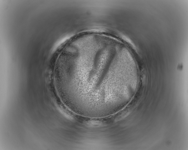 X0000090501448200707272351