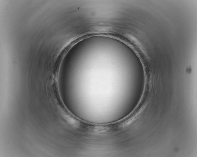 X0000090501449200707272351