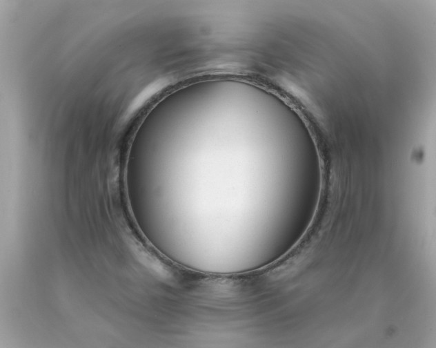 X0000090501450200707272351