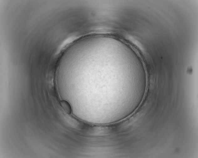 X0000090501451200707272351