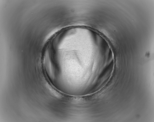 X0000090501452200707272351