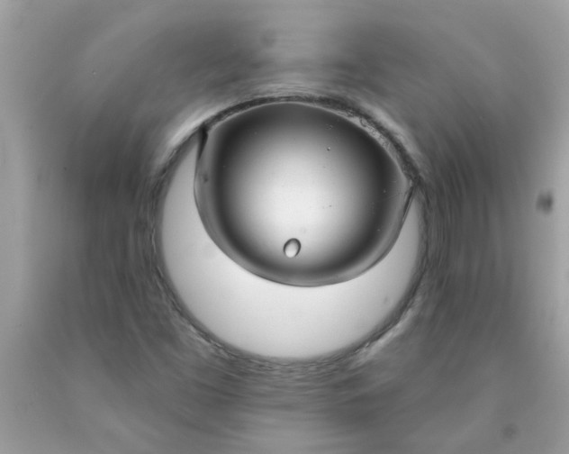 X0000090501453200707272351