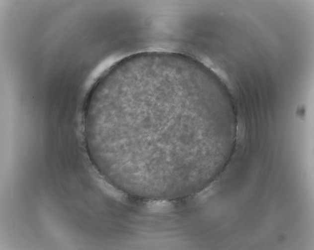 X0000090501454200707272351