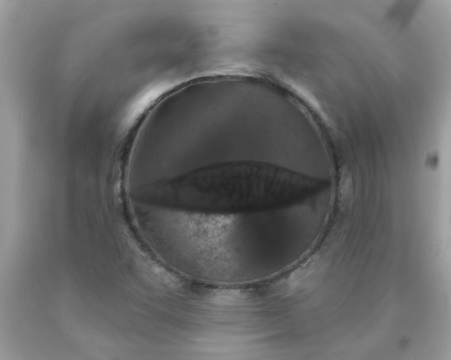 X0000090501455200707272351