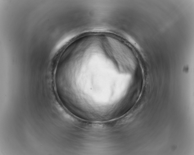 X0000090501456200707272351