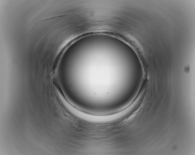 X0000090501457200707272351