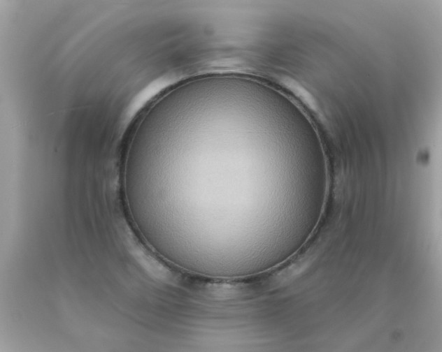 X0000090501458200707272351