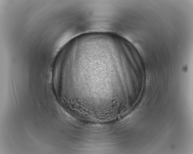 X0000090501459200707272351