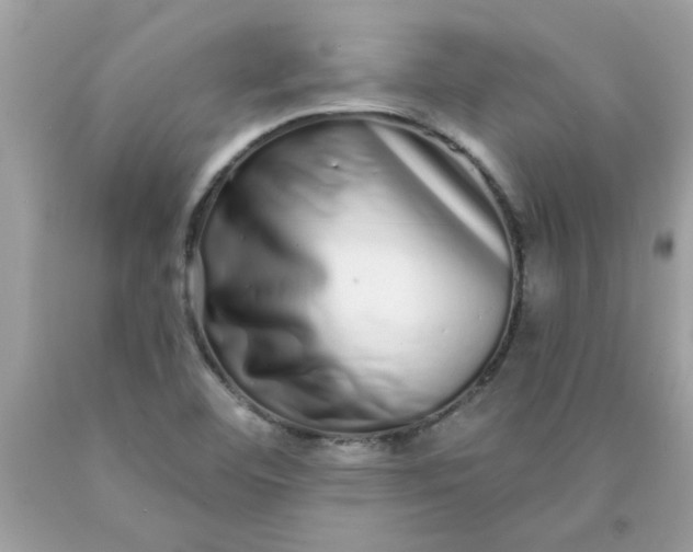 X0000090501460200707272351