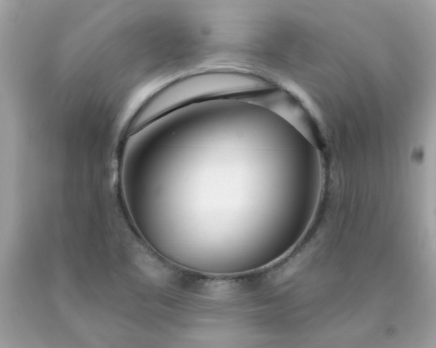 X0000090501461200707272351