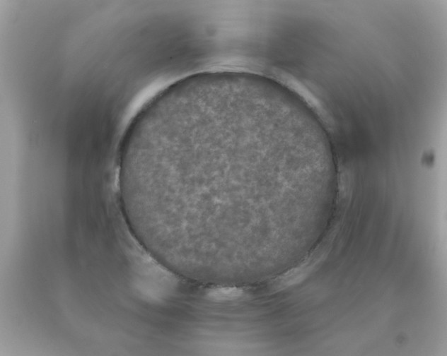 X0000090501462200707272351