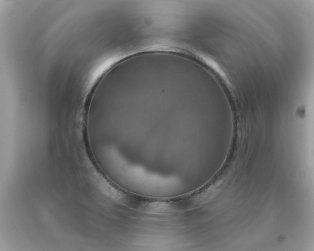 X0000090501463200707272351