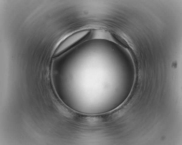 X0000090501465200707272351