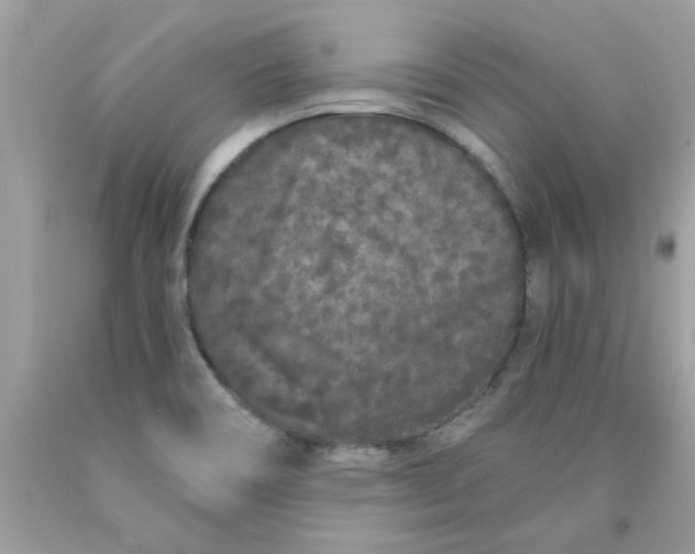 X0000090501466200707272351