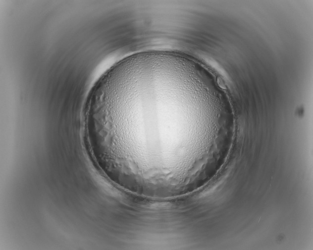 X0000090501467200707272351