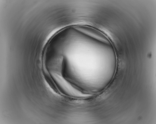 X0000090501468200707272351